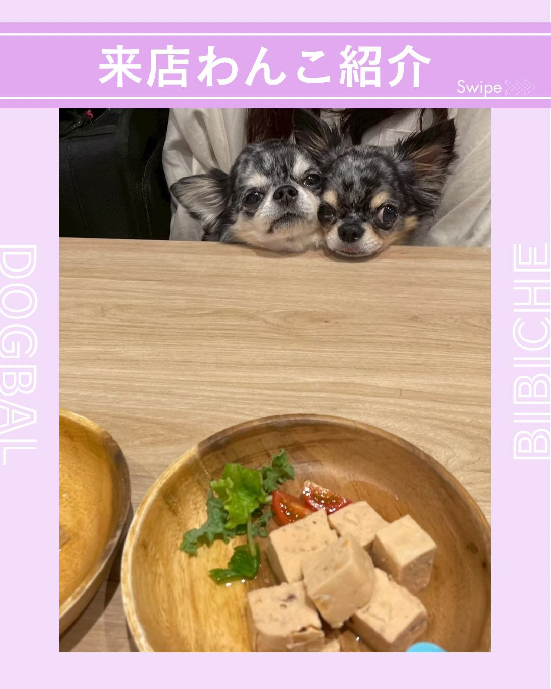 こんにちは🌷