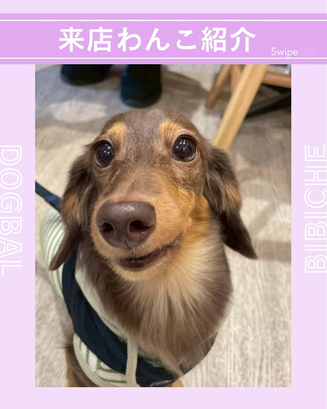 こんにちは🌷
