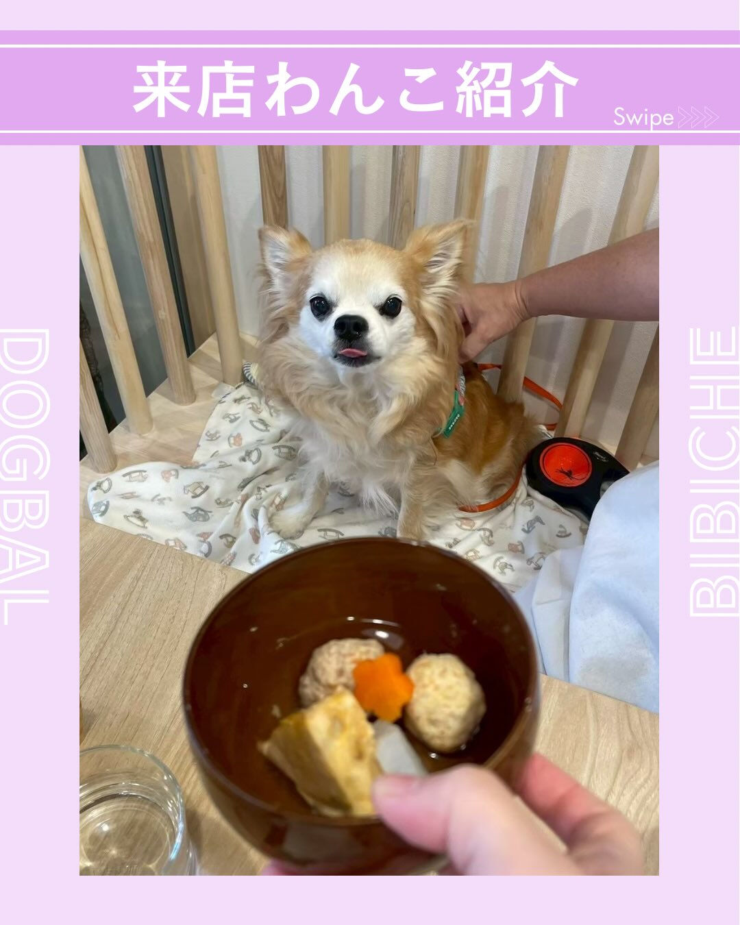 こんにちは🌷