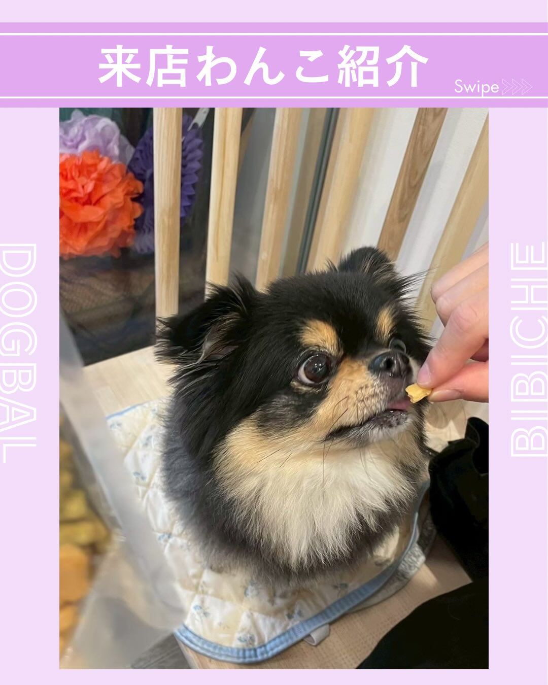 こんにちは🌷