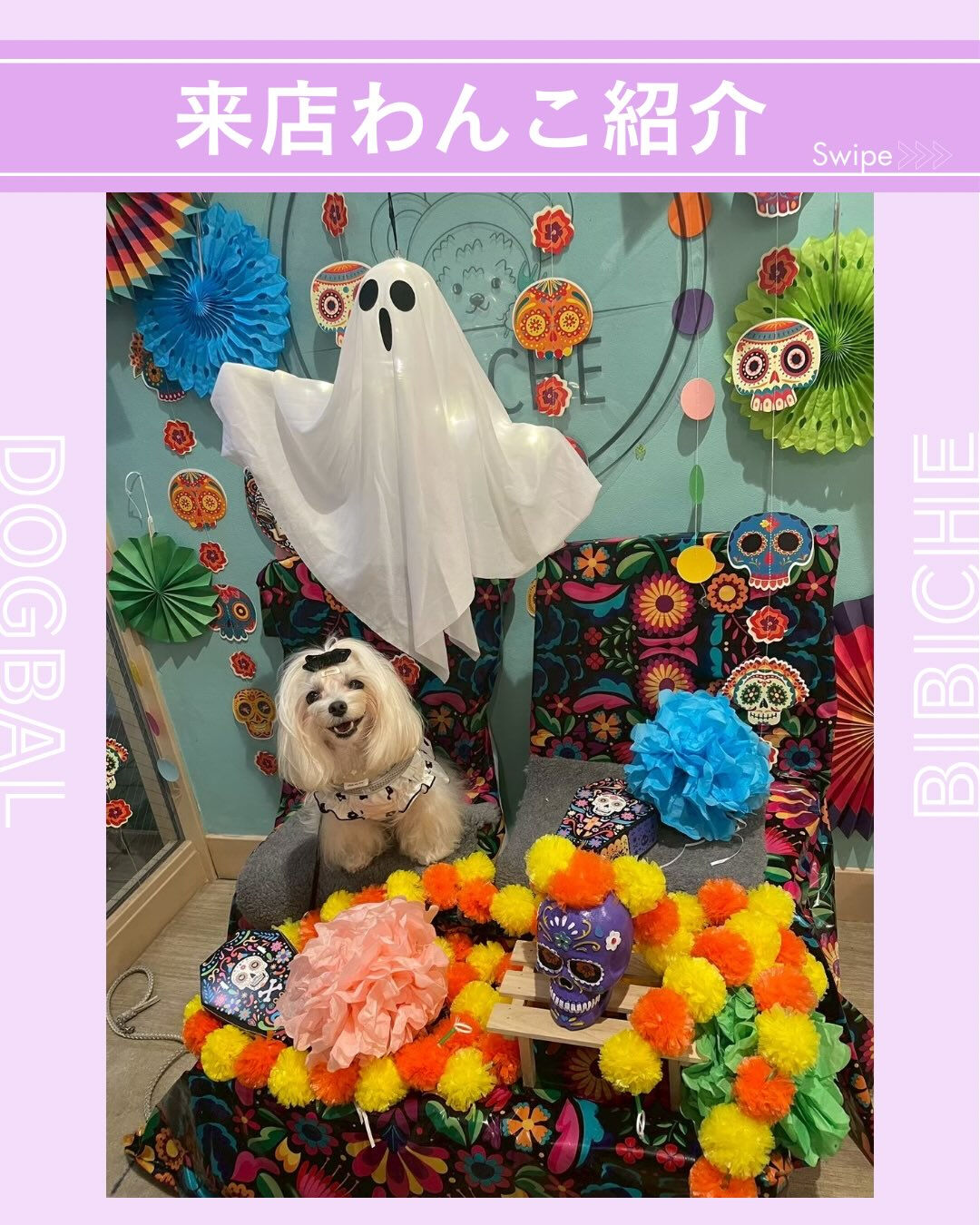 こんにちは🌷
