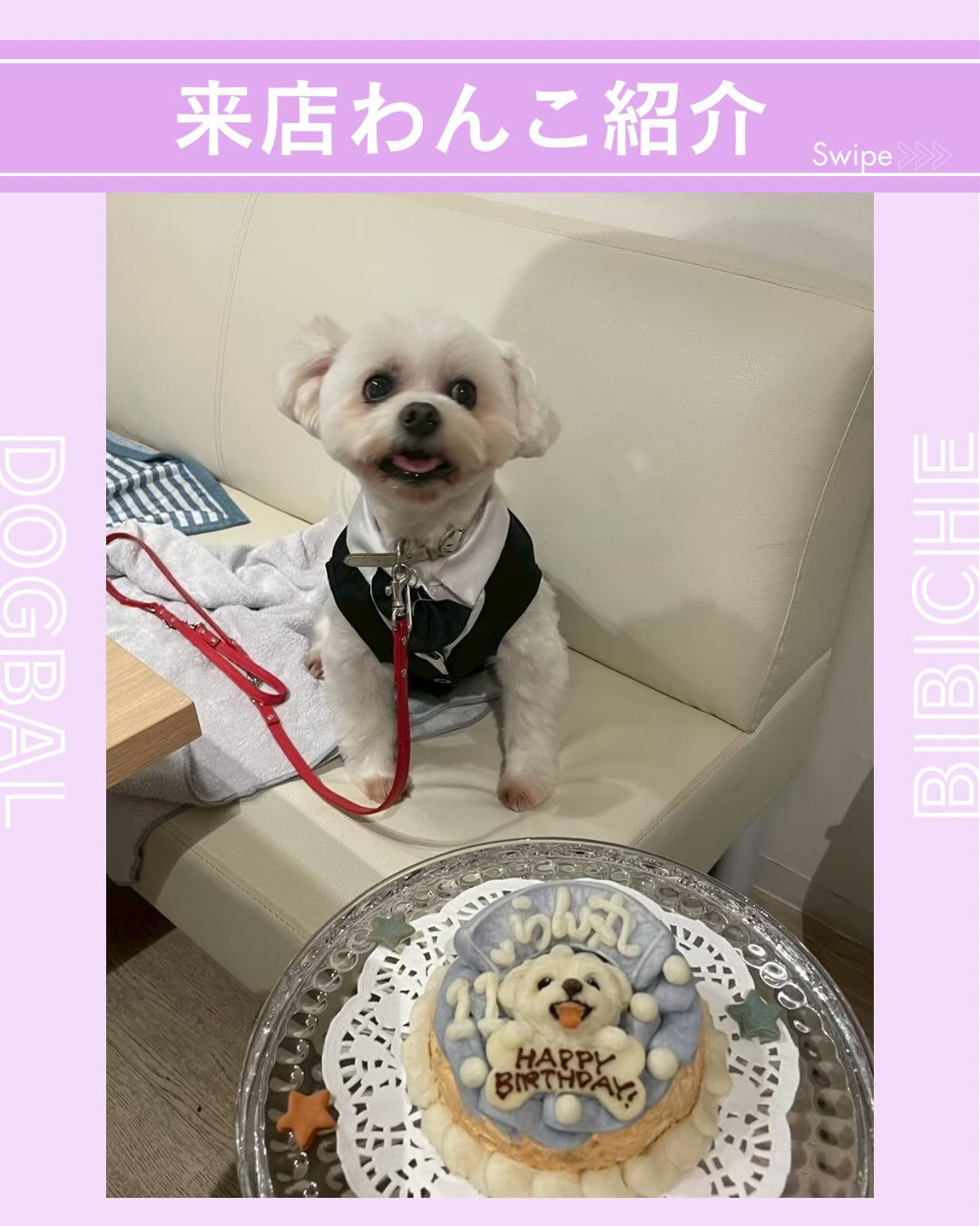 こんにちは🌷
