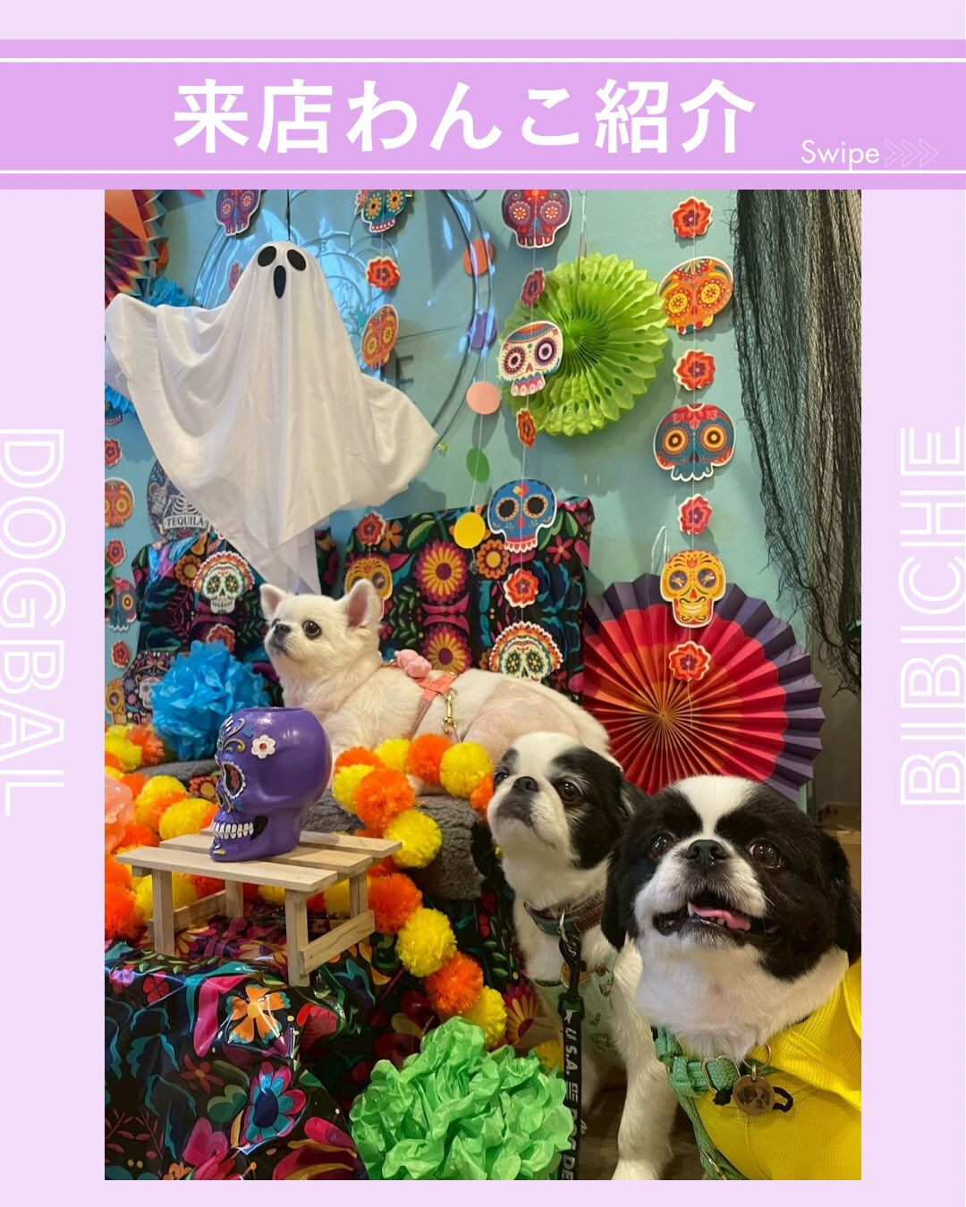こんにちは🌷