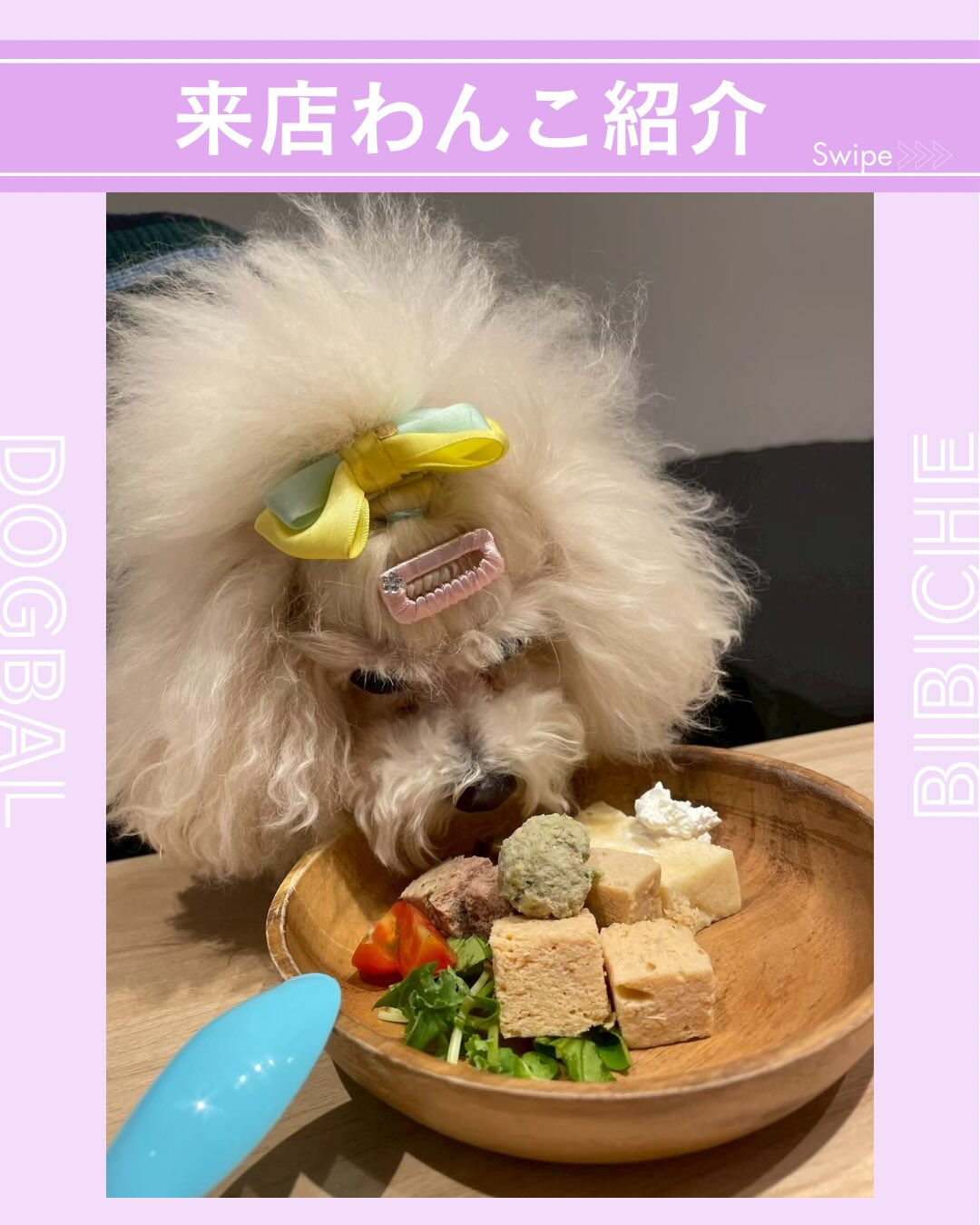 こんにちは🌷