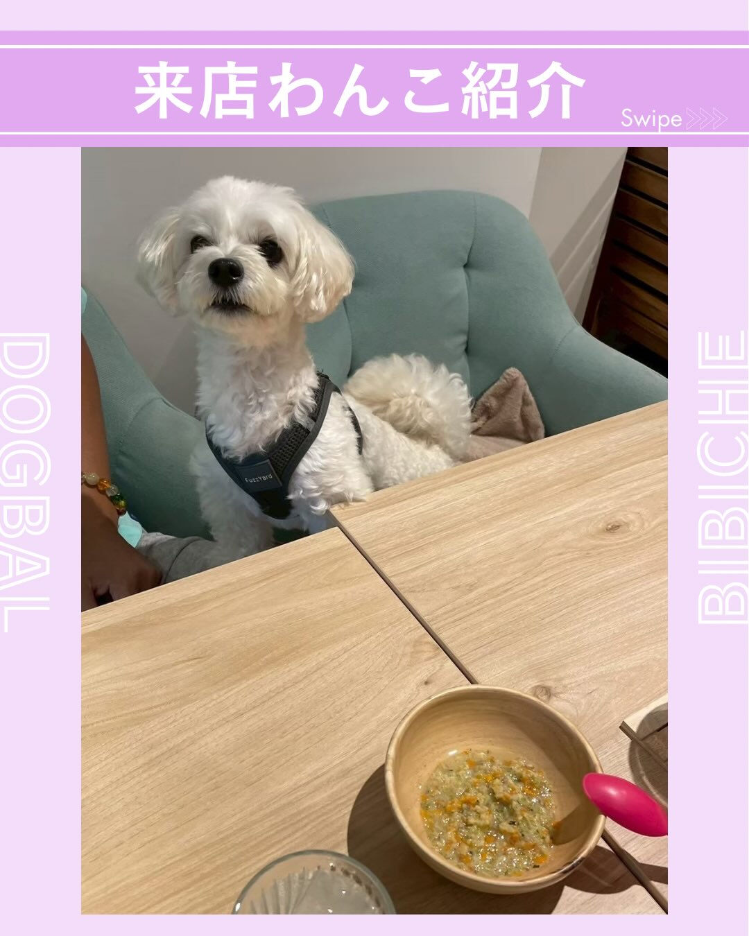 こんにちは🌷