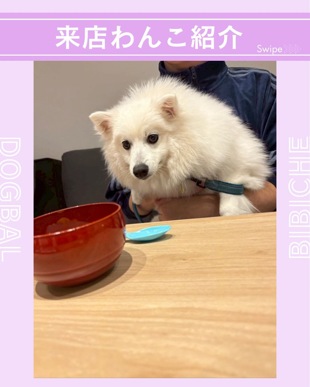 こんにちは🌷