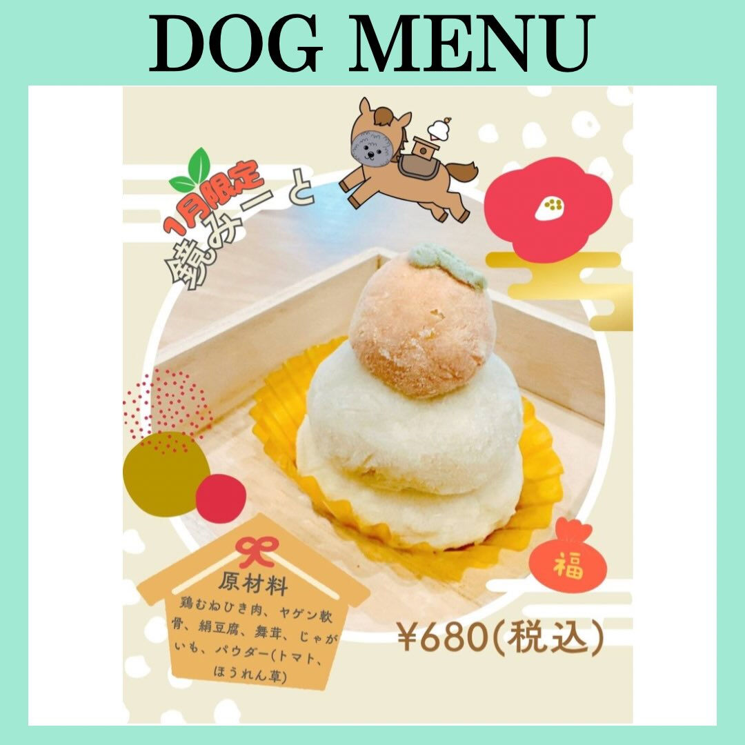 こんにちは🌷