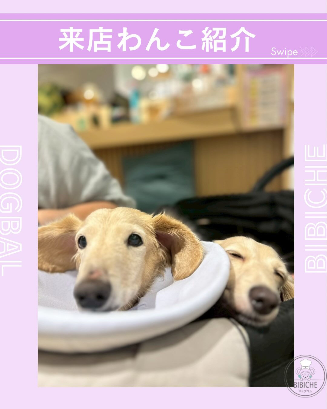 こんにちは🌷