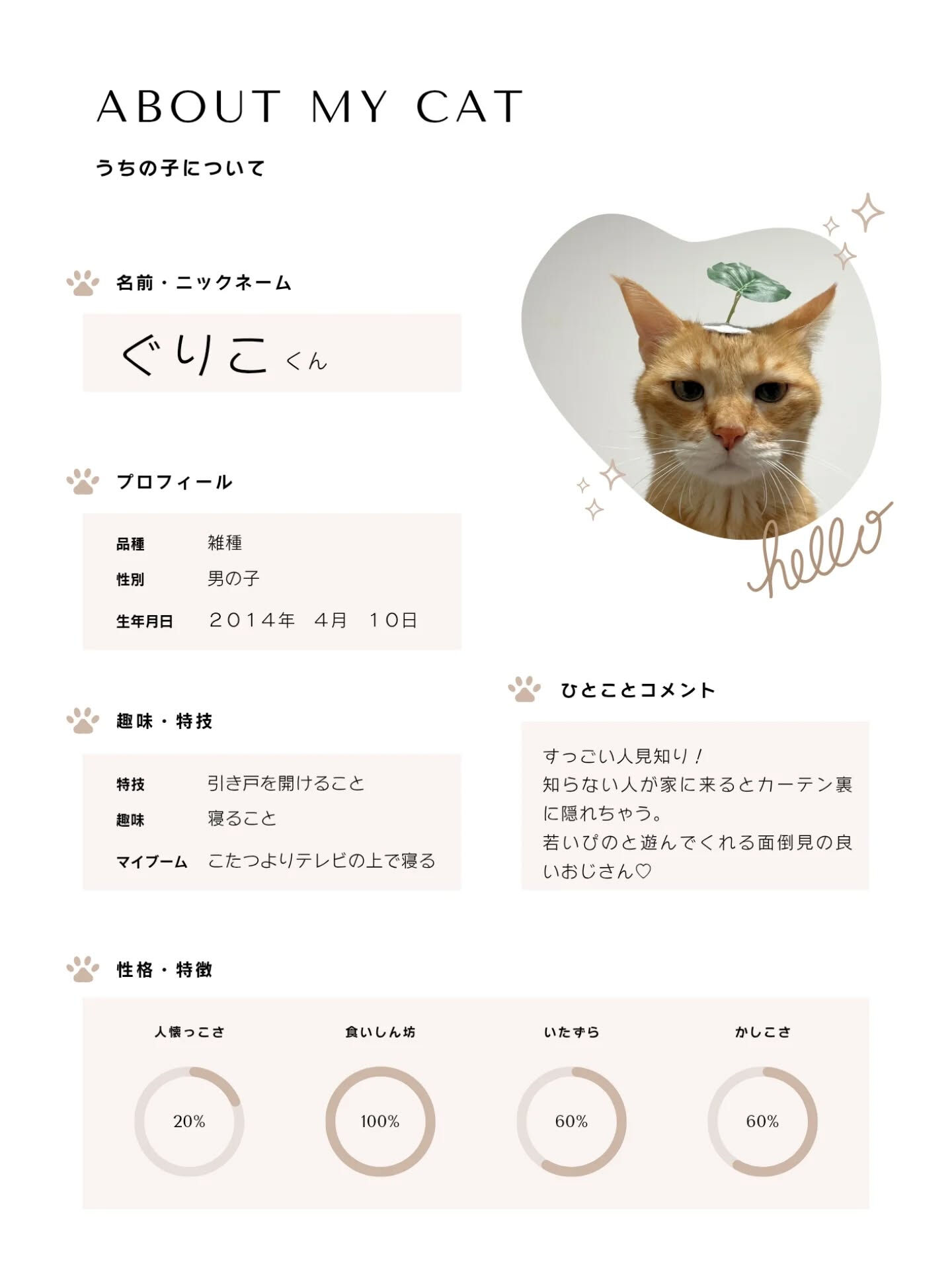 こんにちは🌷