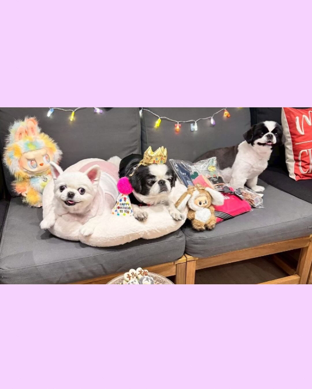 こんにちは🌷