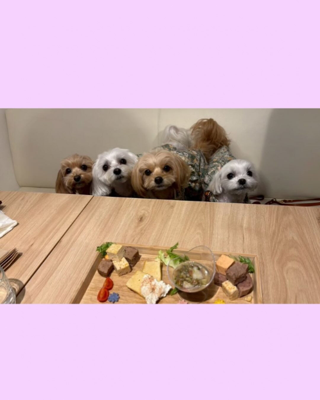 こんにちは🌷
