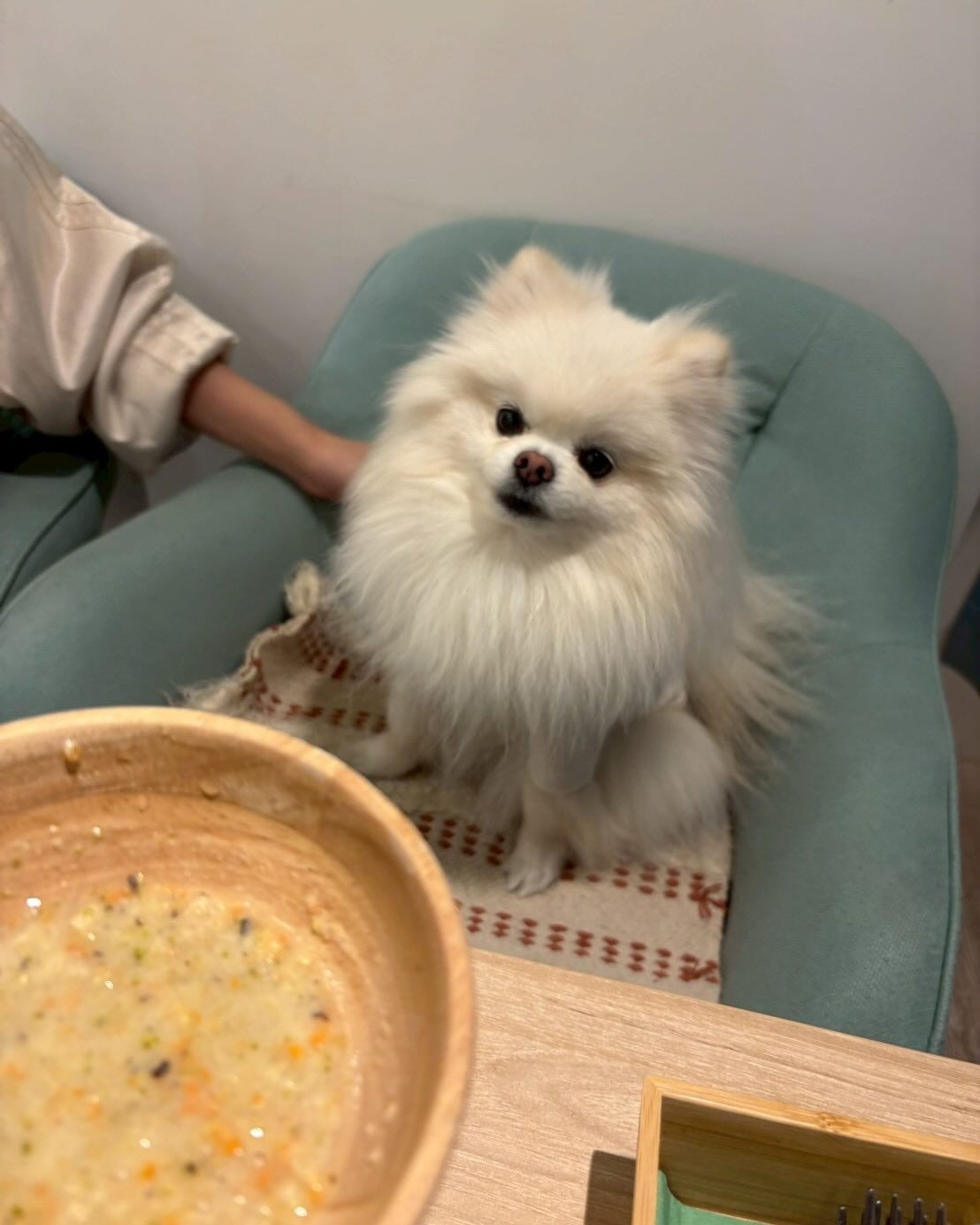 こんにちは🌷