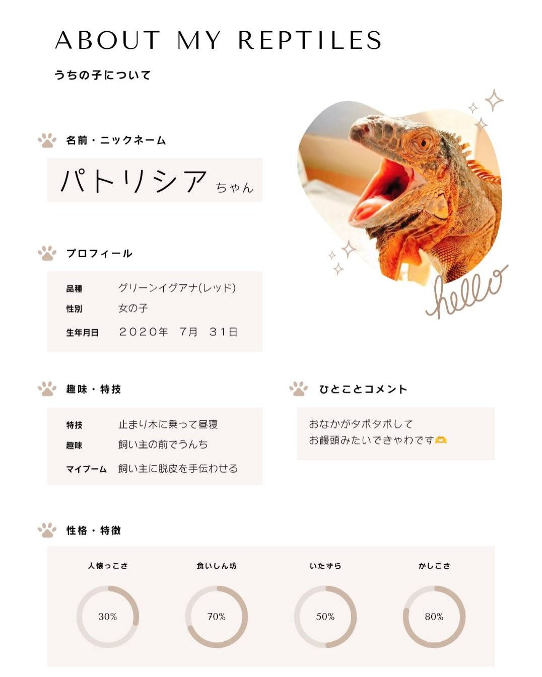 こんにちは🌷
