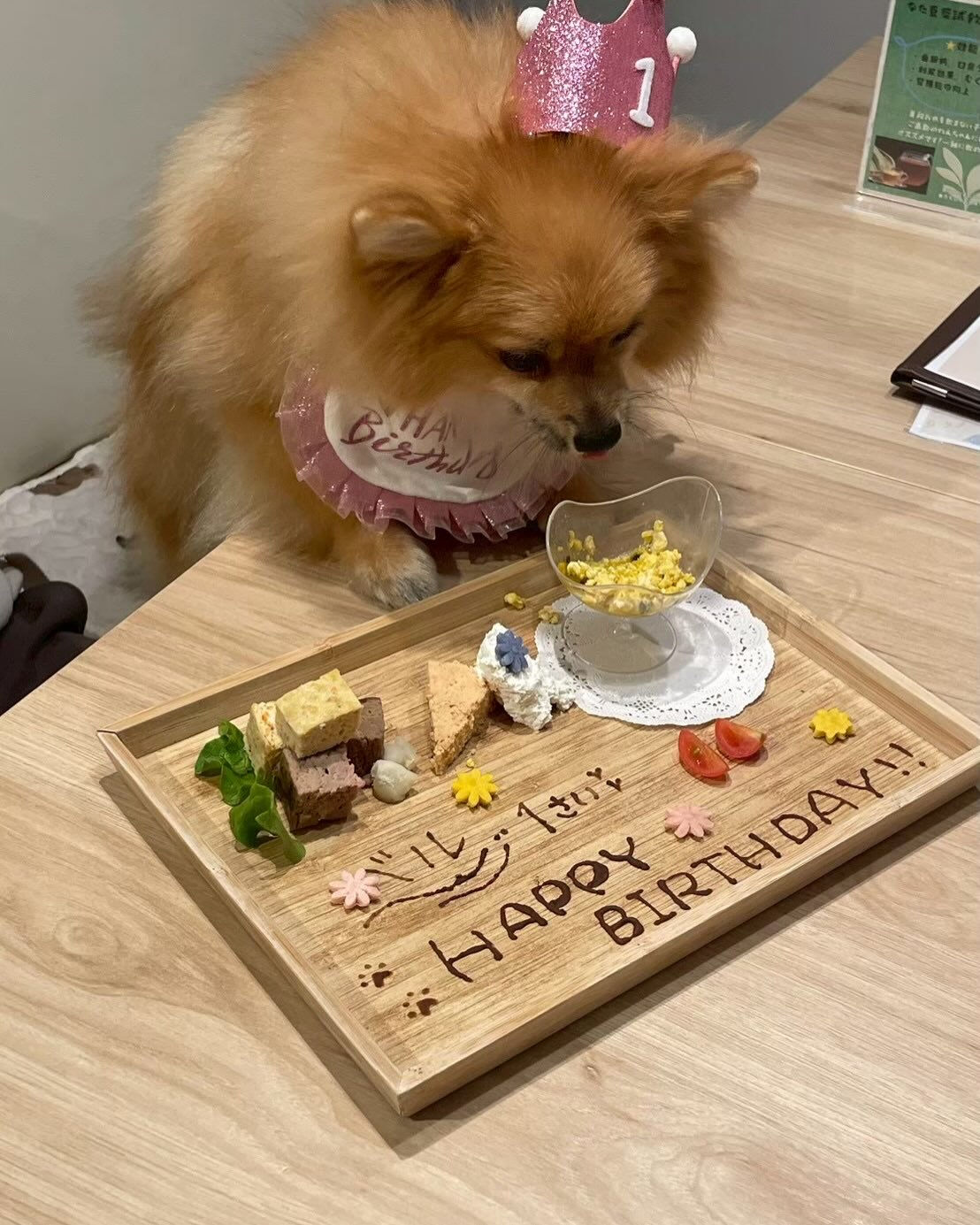 こんにちは🌷