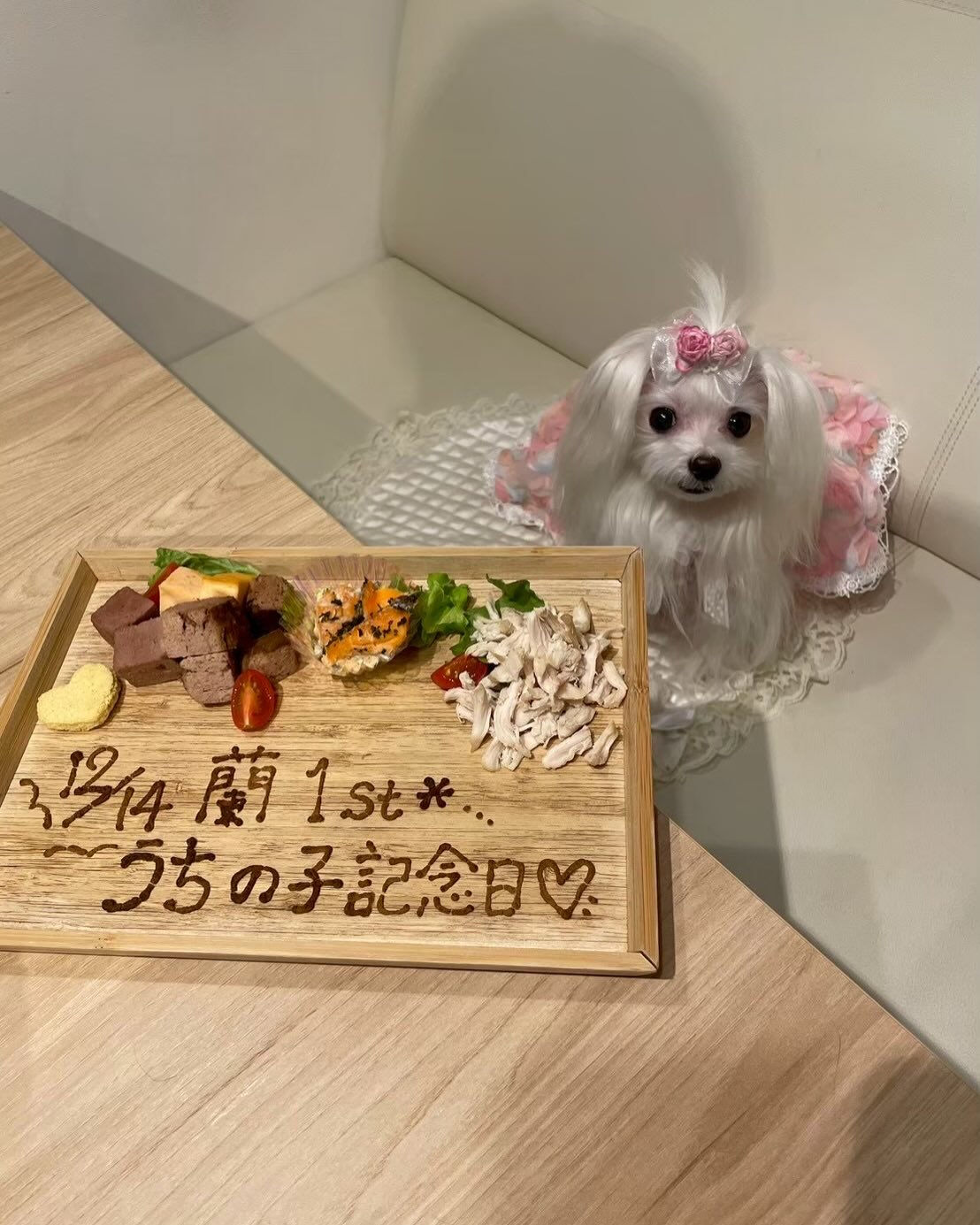 こんにちは🌷