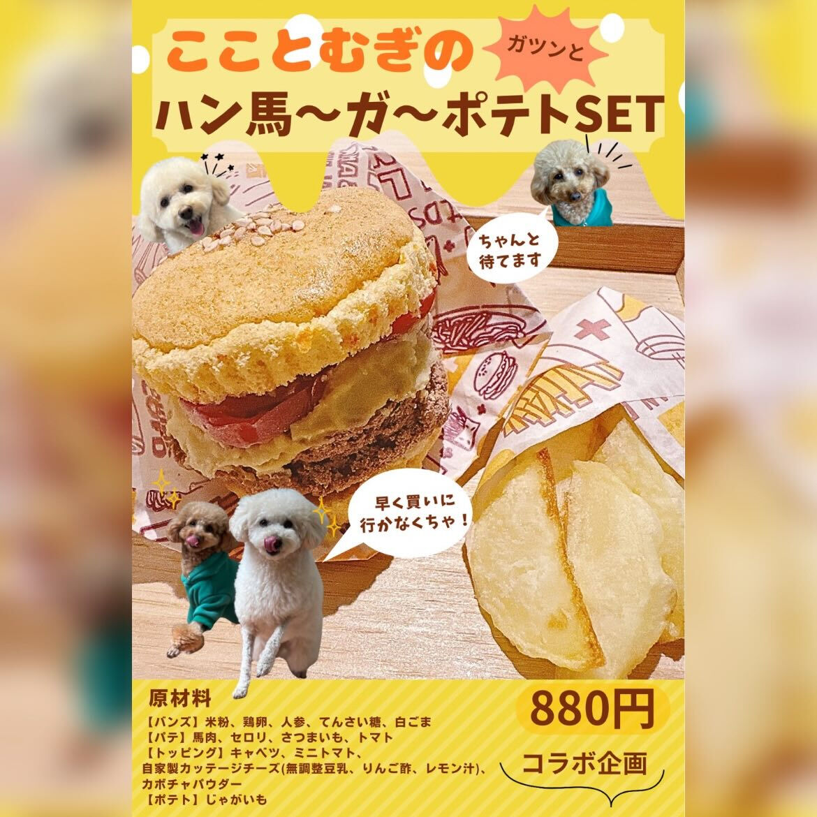 こんにちは🌷