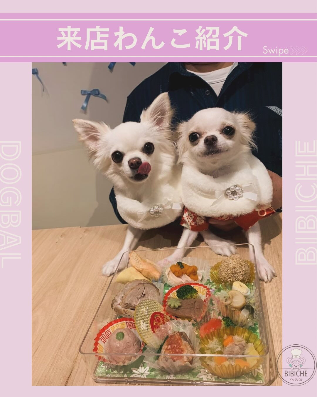 こんにちは🌷