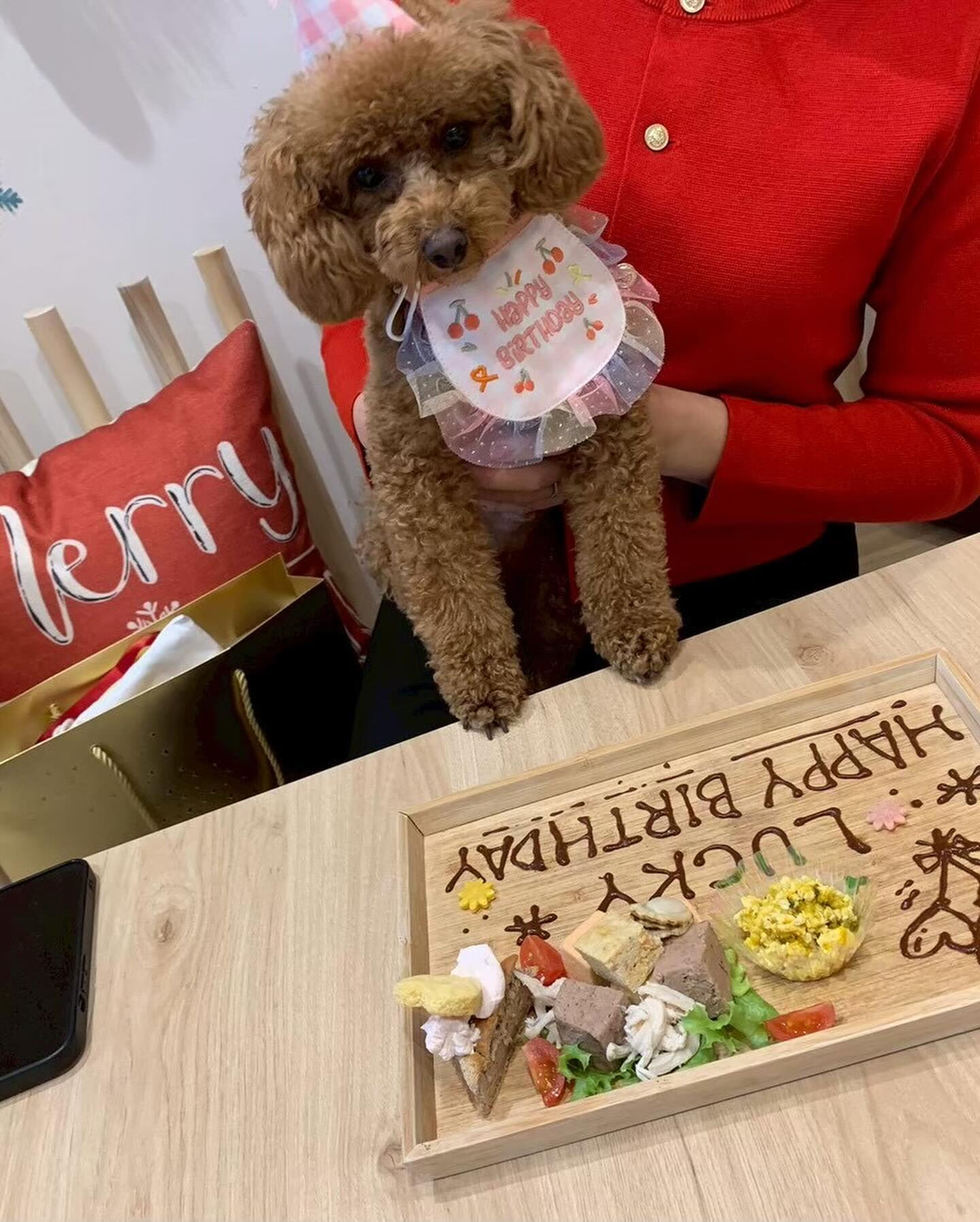 こんにちは🌷