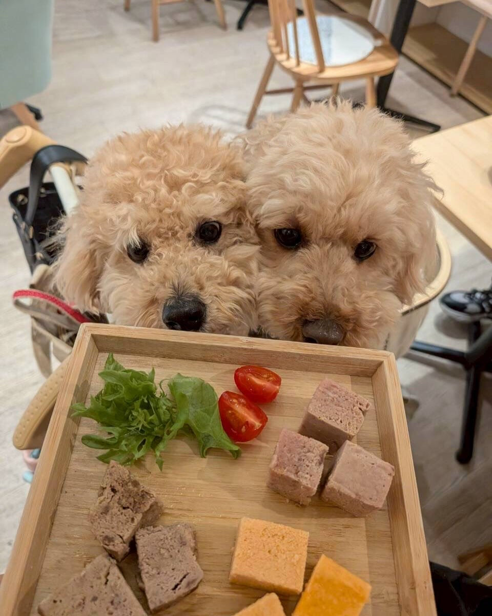 こんにちは🌷