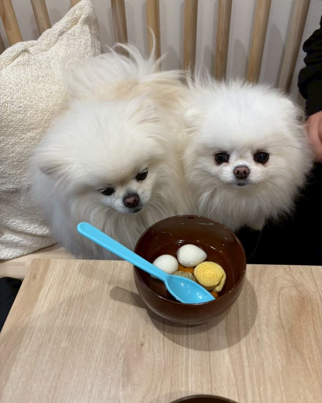 こんにちは🌷
