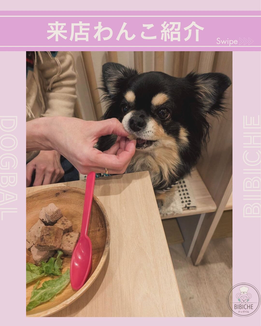 こんにちは🌷