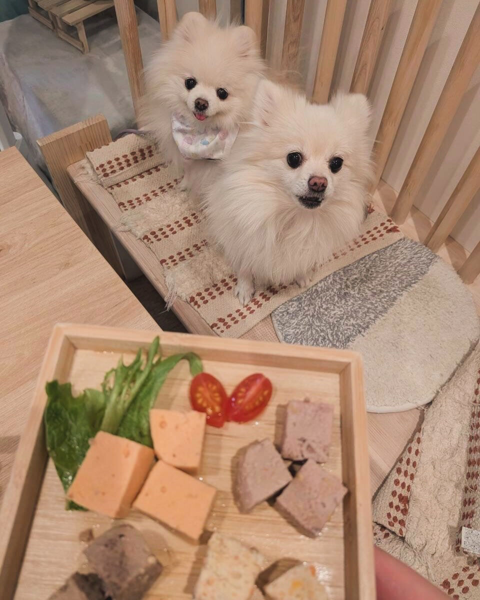こんにちは🌷
