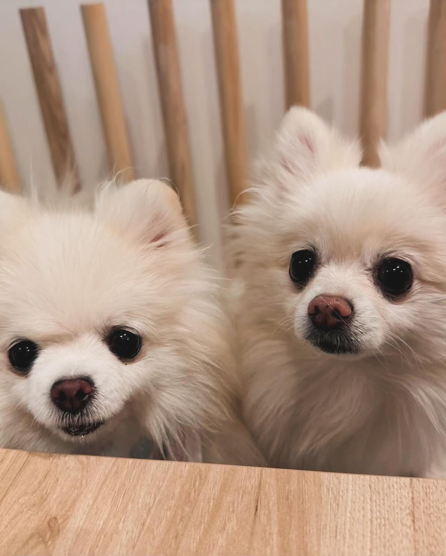 こんにちは🌷