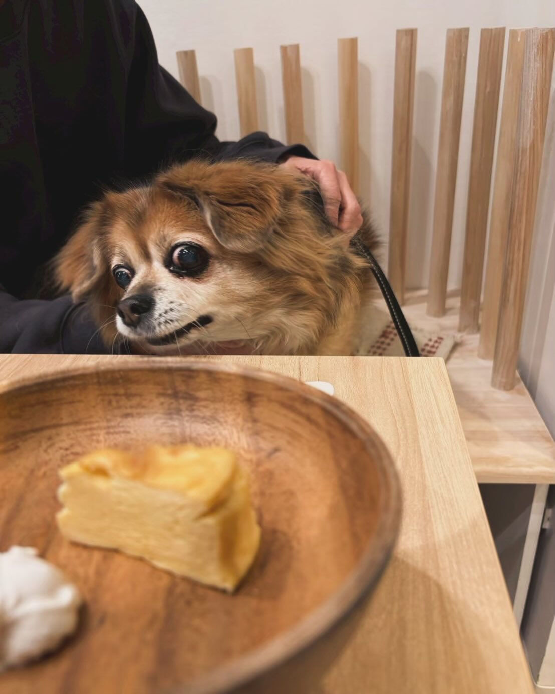 こんにちは🌷