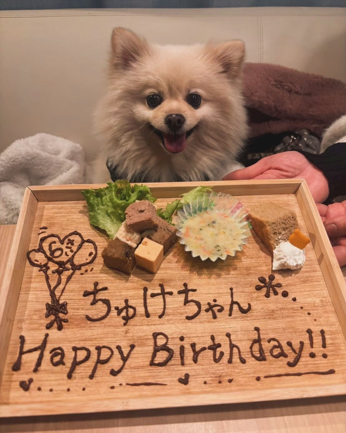 こんにちは🌷