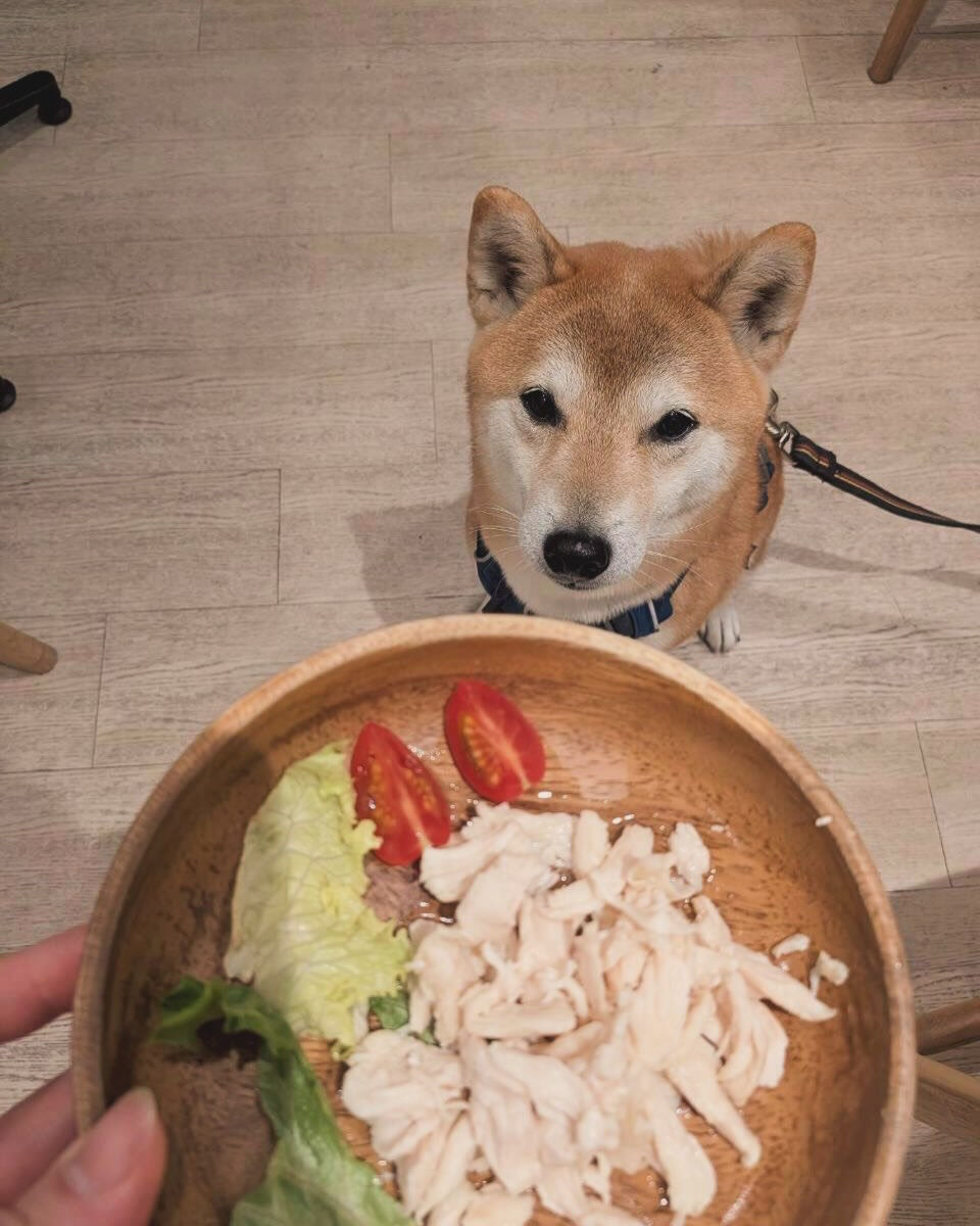 こんにちは🌷