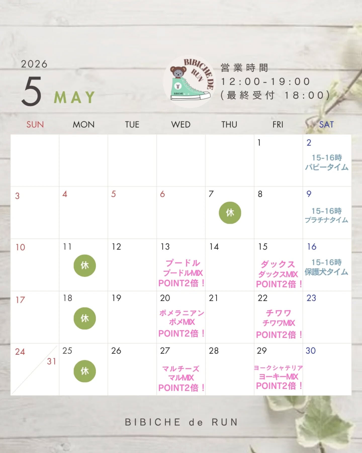 こんにちは🌷