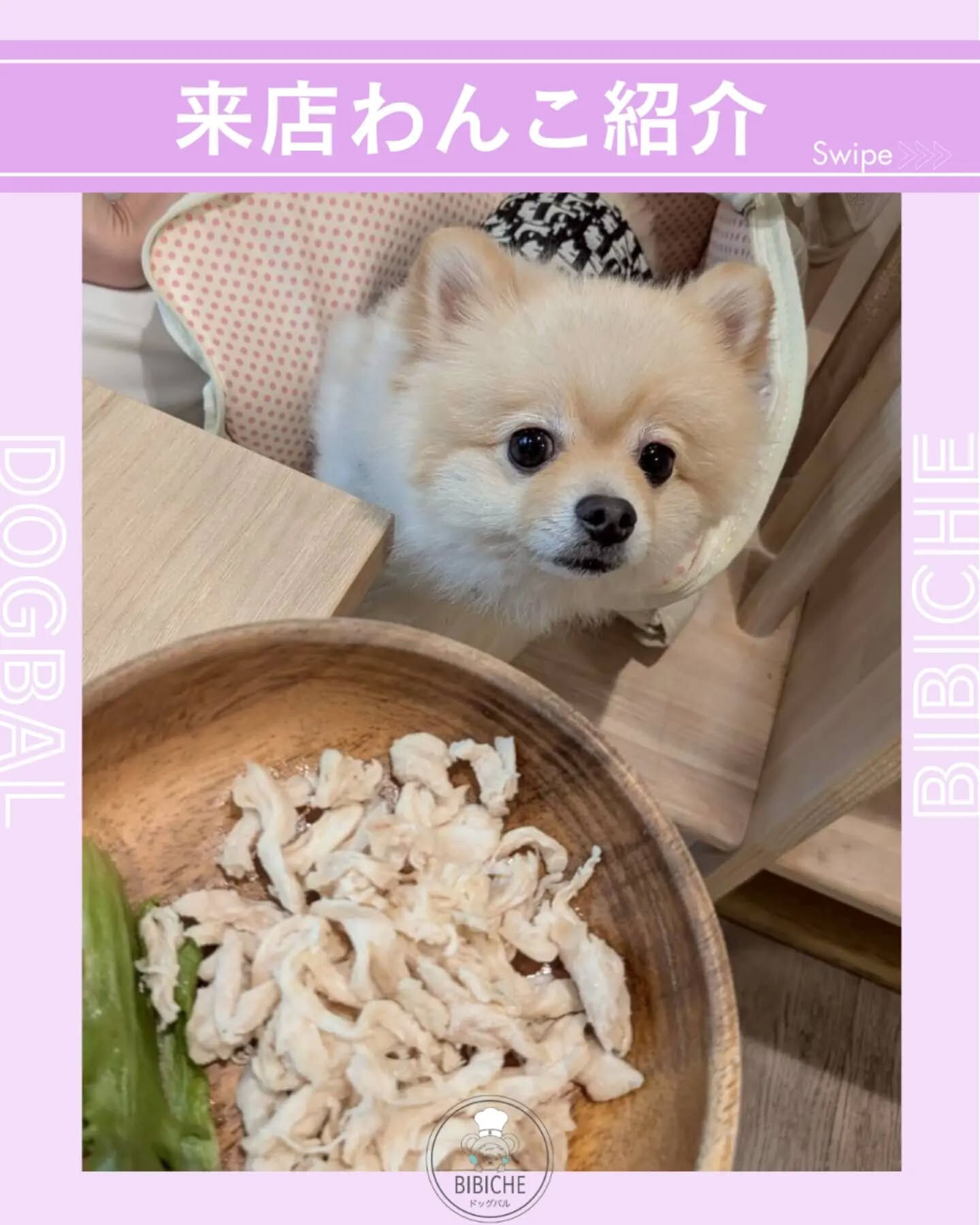 こんにちは🌷