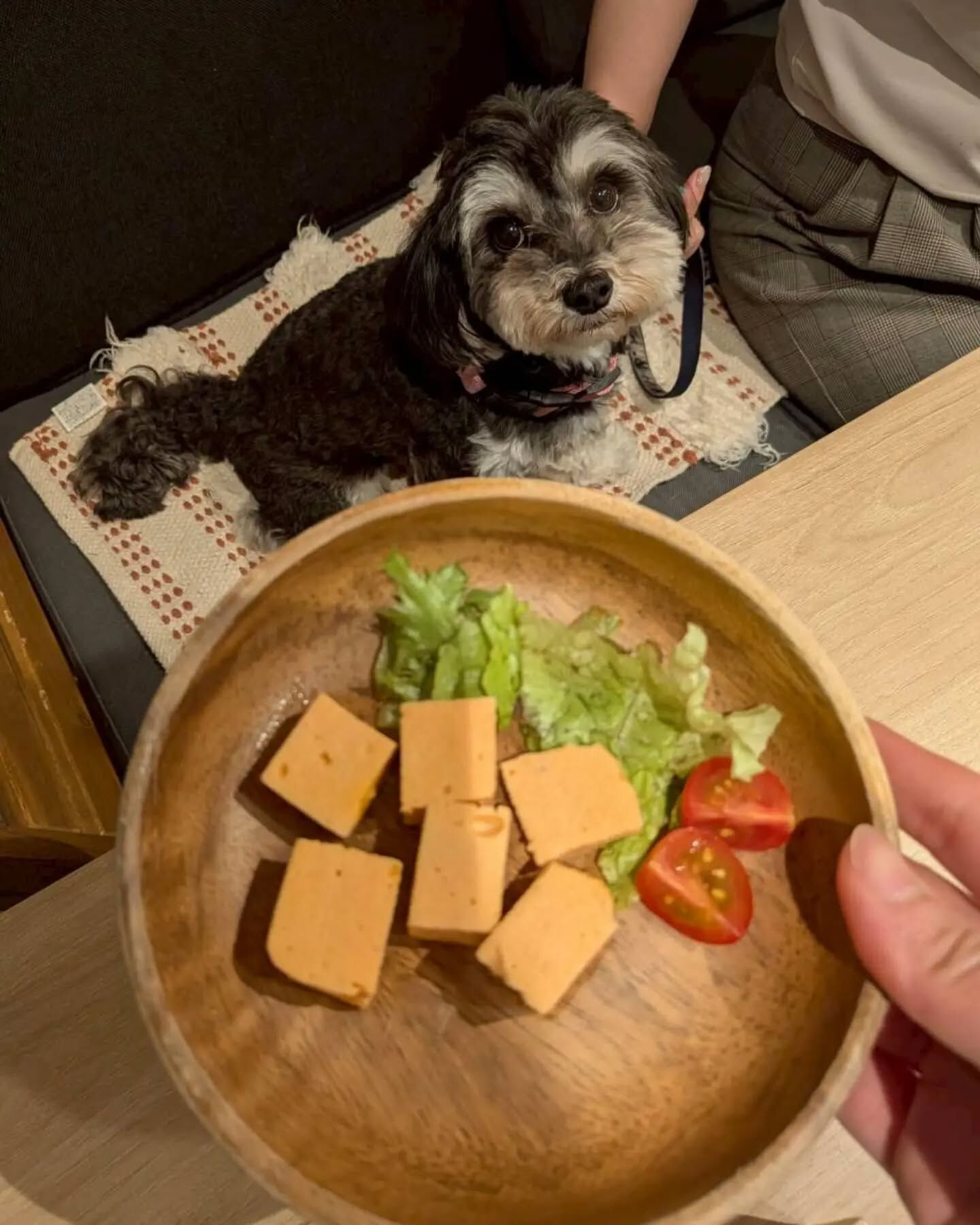 こんにちは🌷
