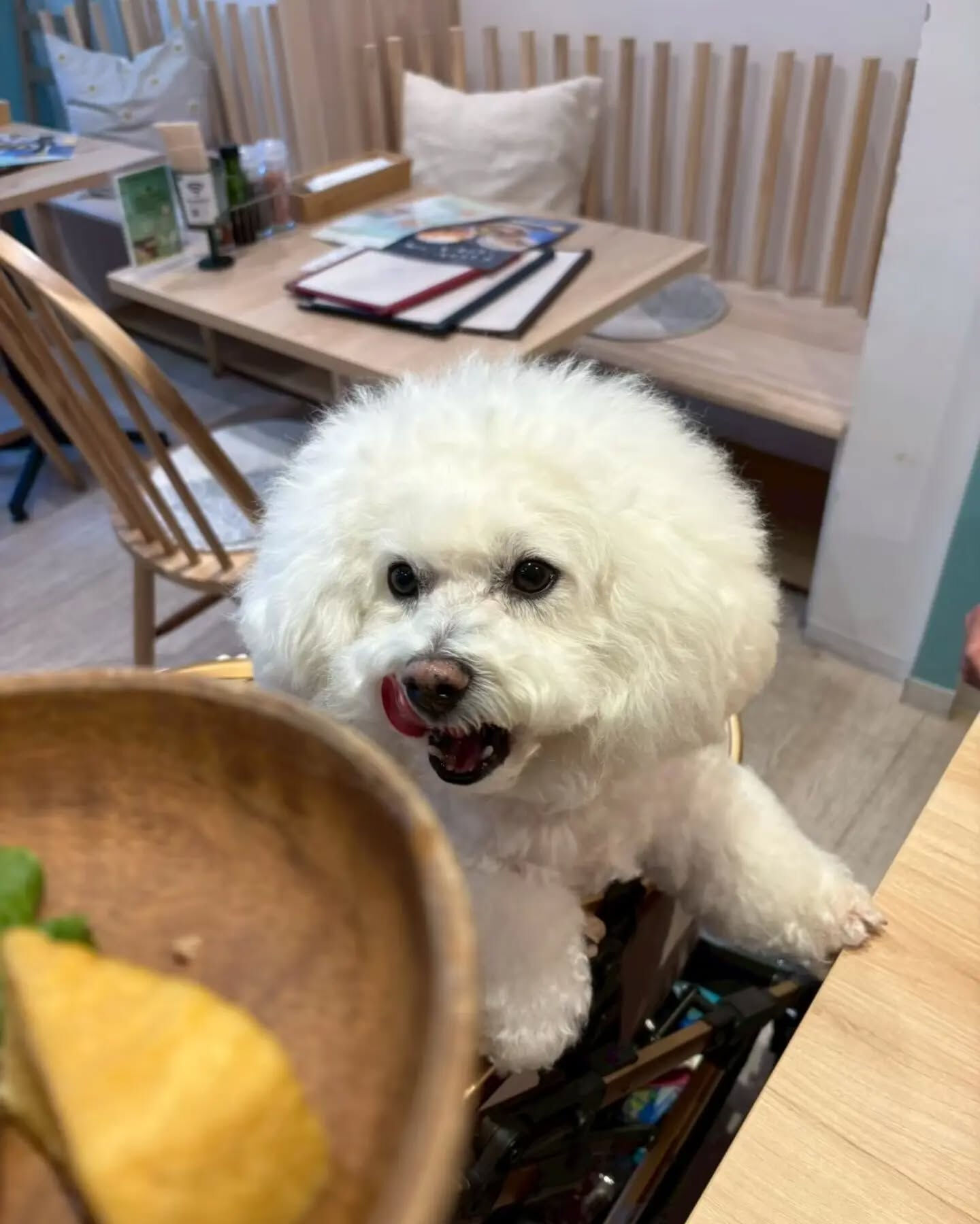 こんにちは♪