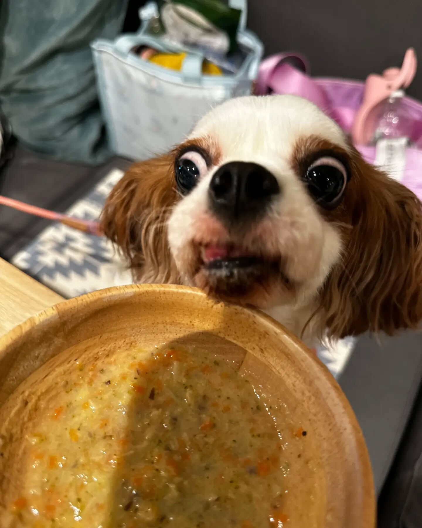 こんにちは♪