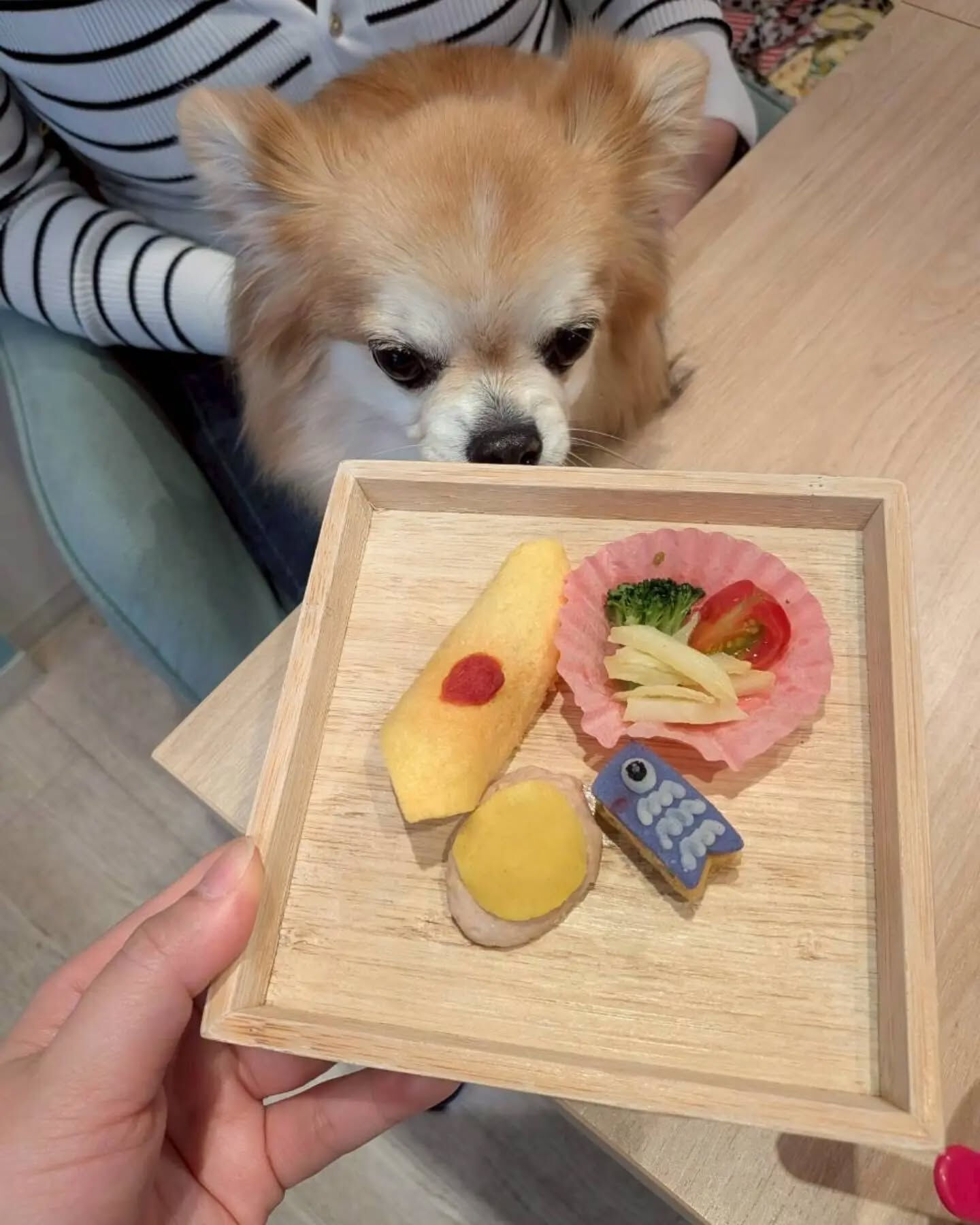 こんにちは♪