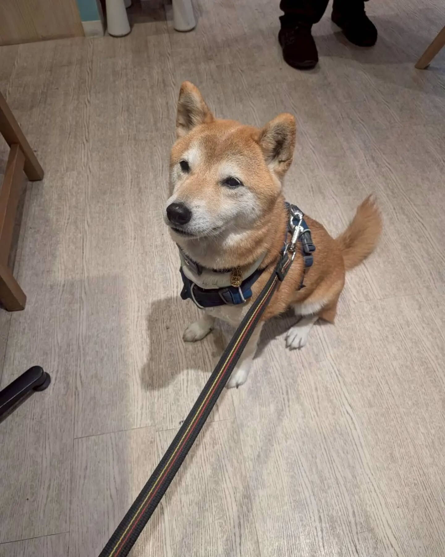 こんにちは♪