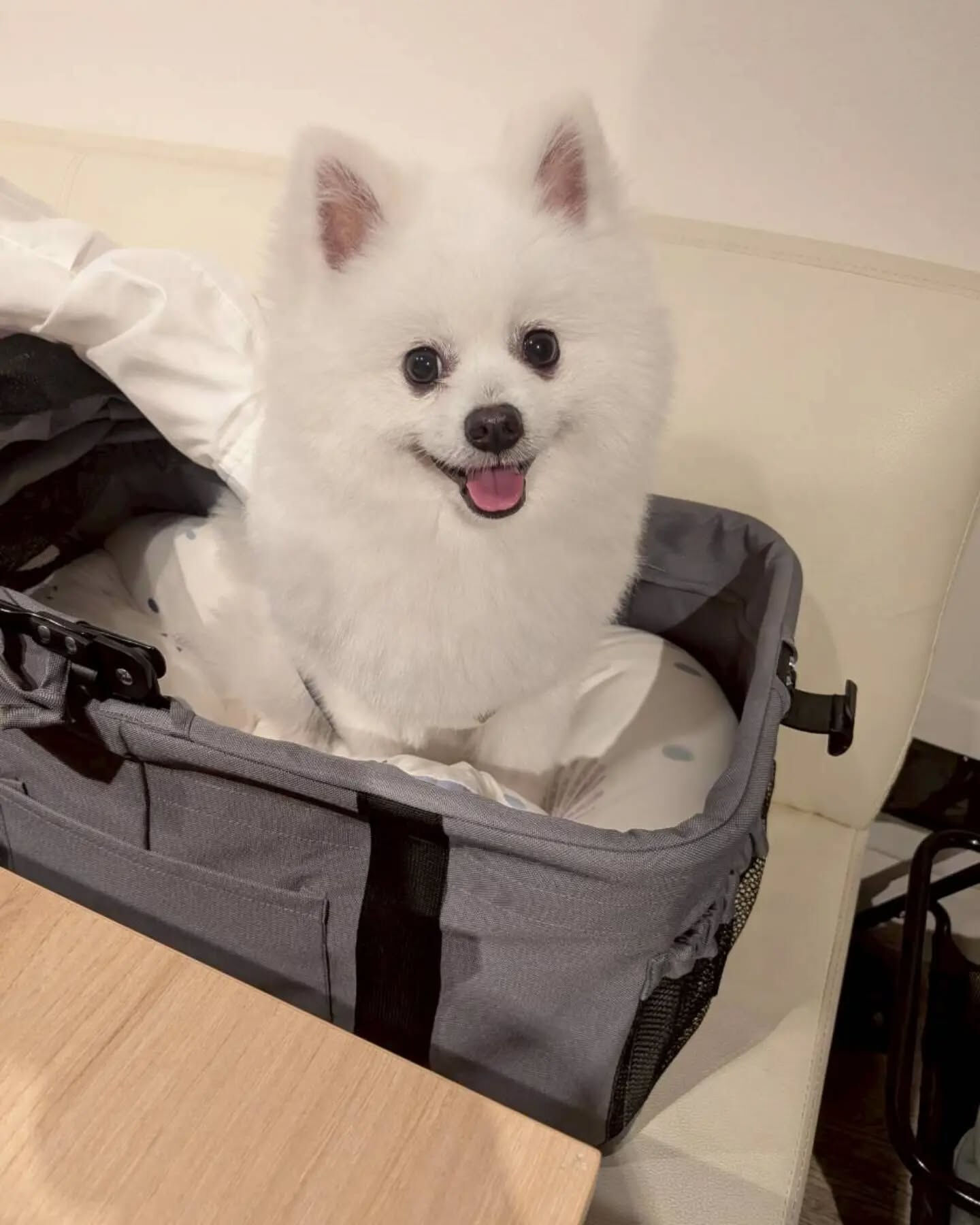 こんにちは♪