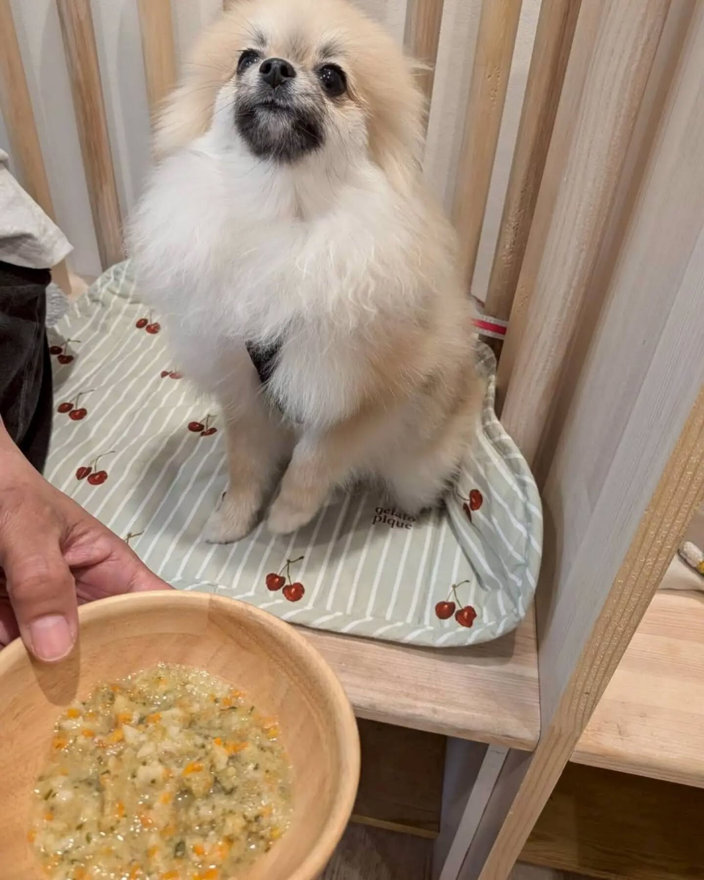こんにちは♪