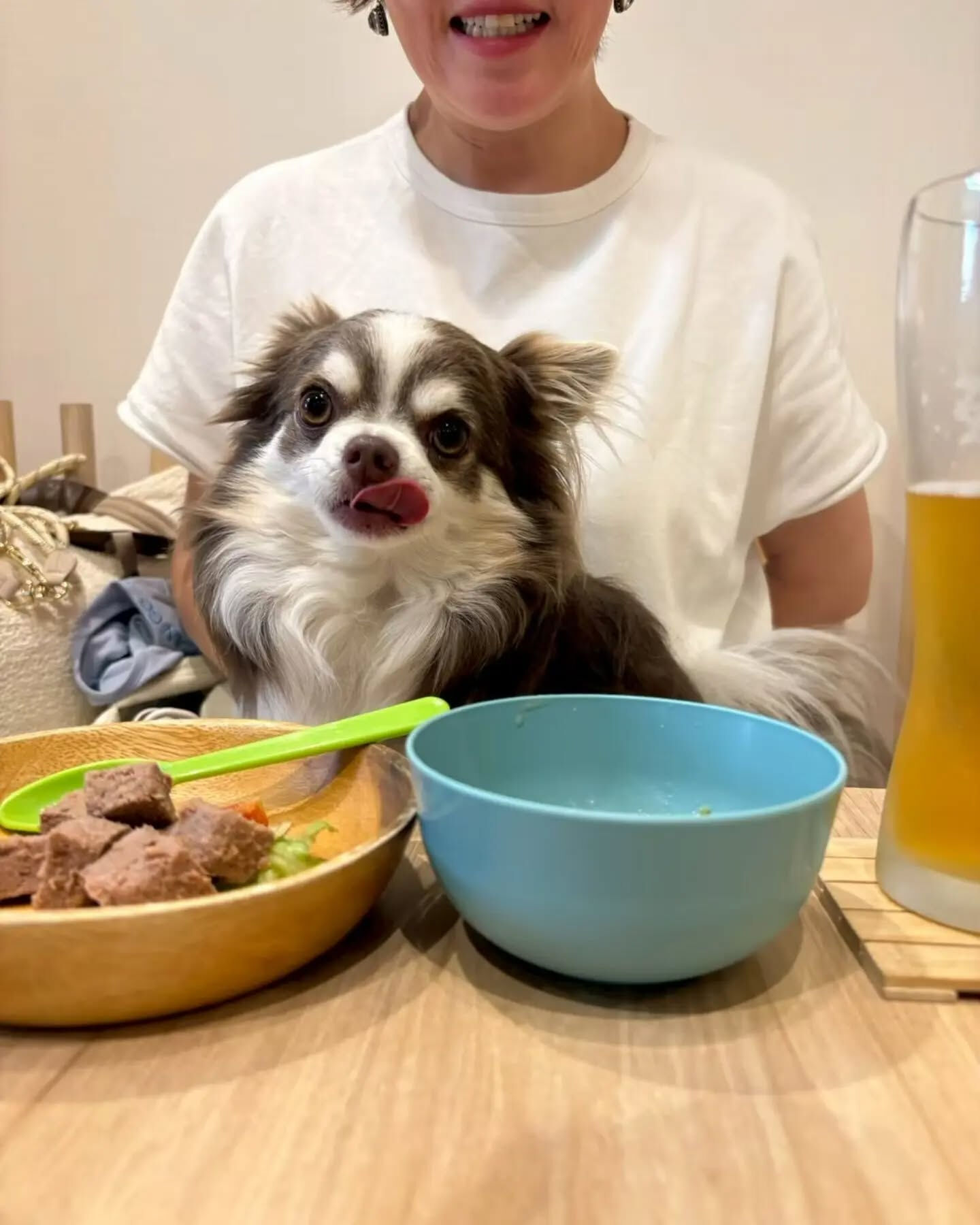 来店わんこのお写真紹介🐶✨