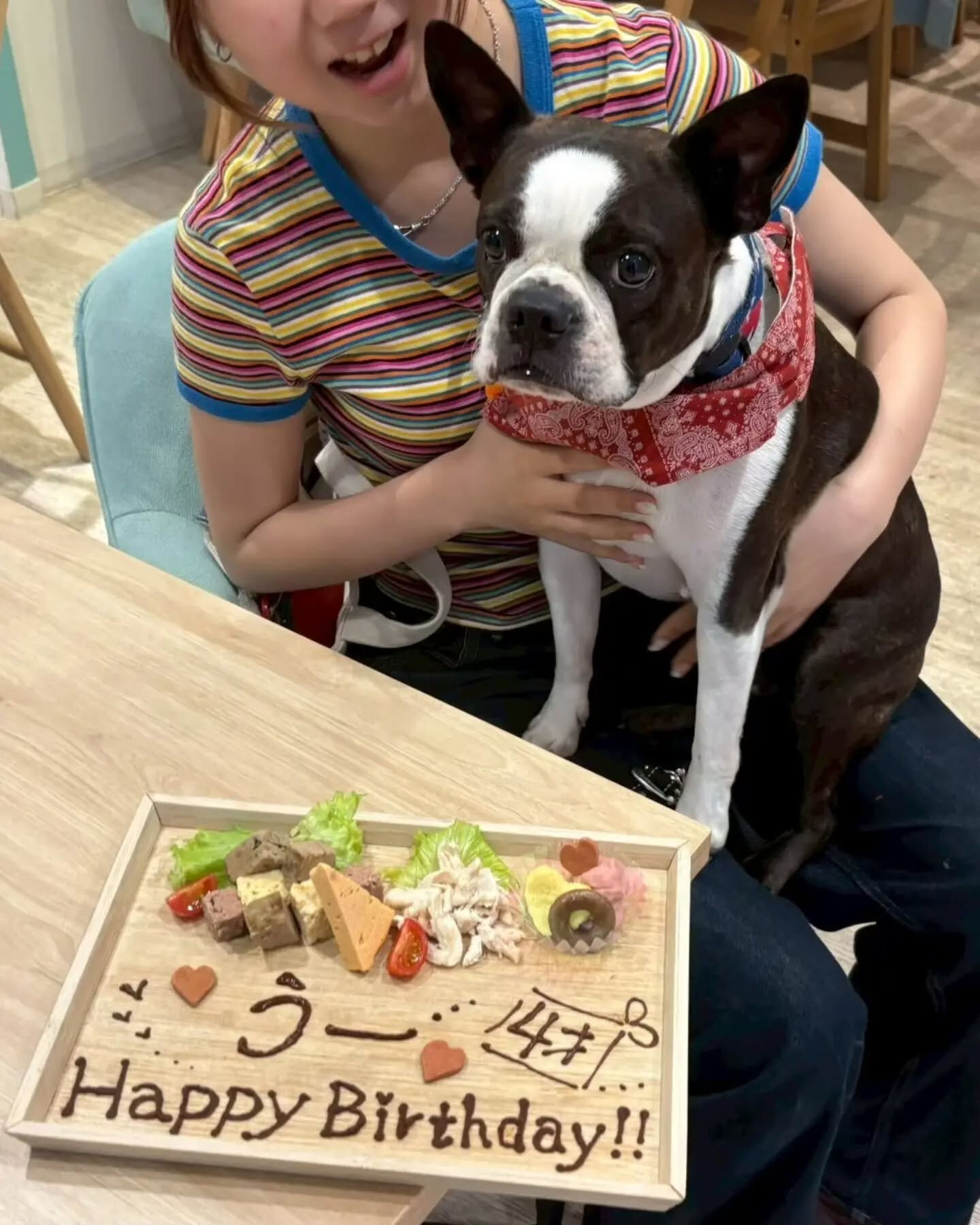 来店わんこのお写真紹介🐶✨