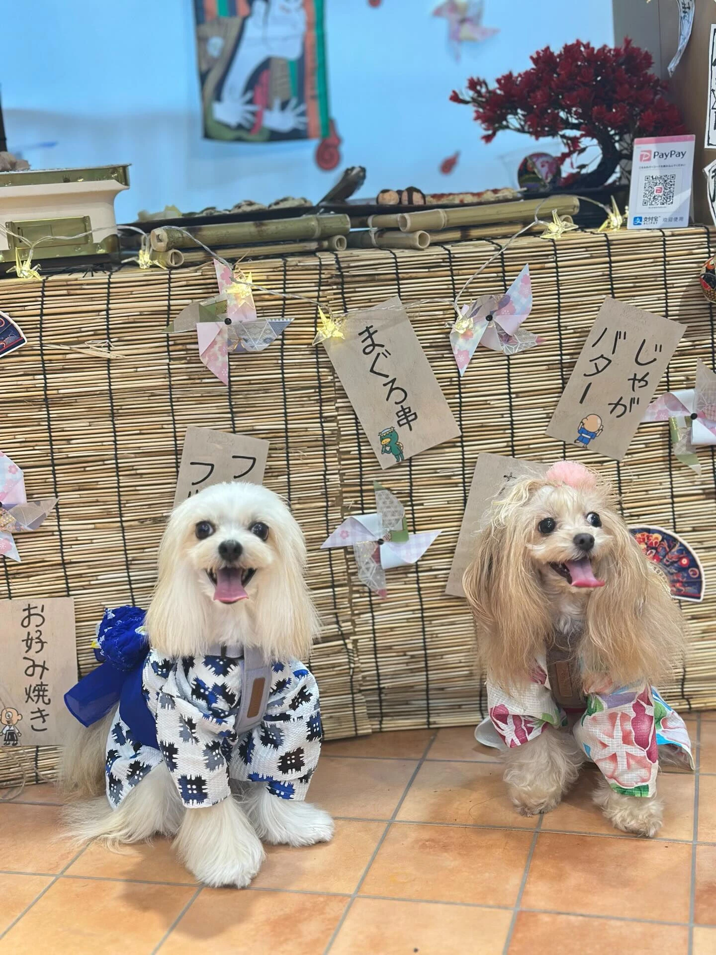 ブログ