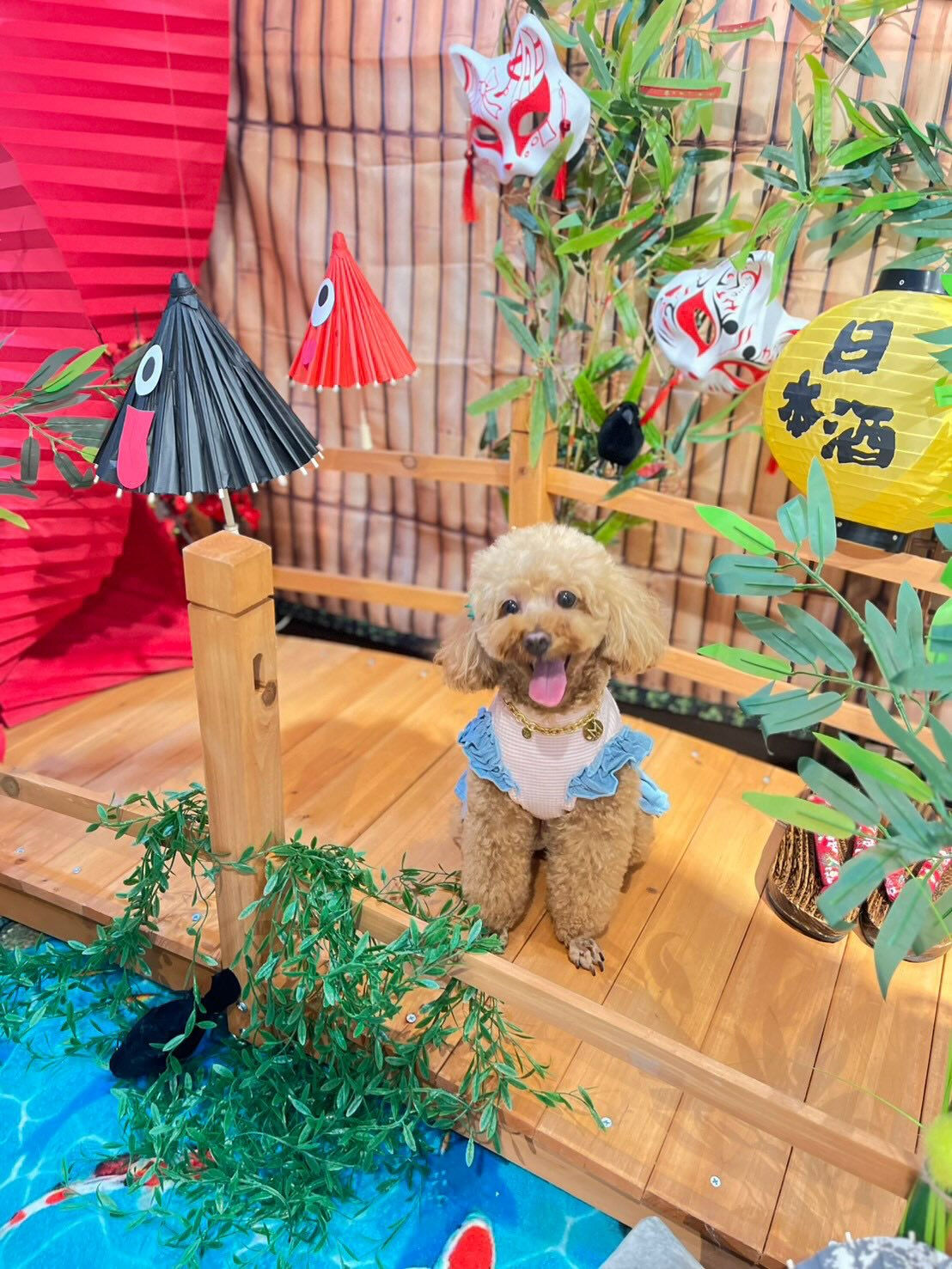 BIBICHE妖怪祭りラストになります😆