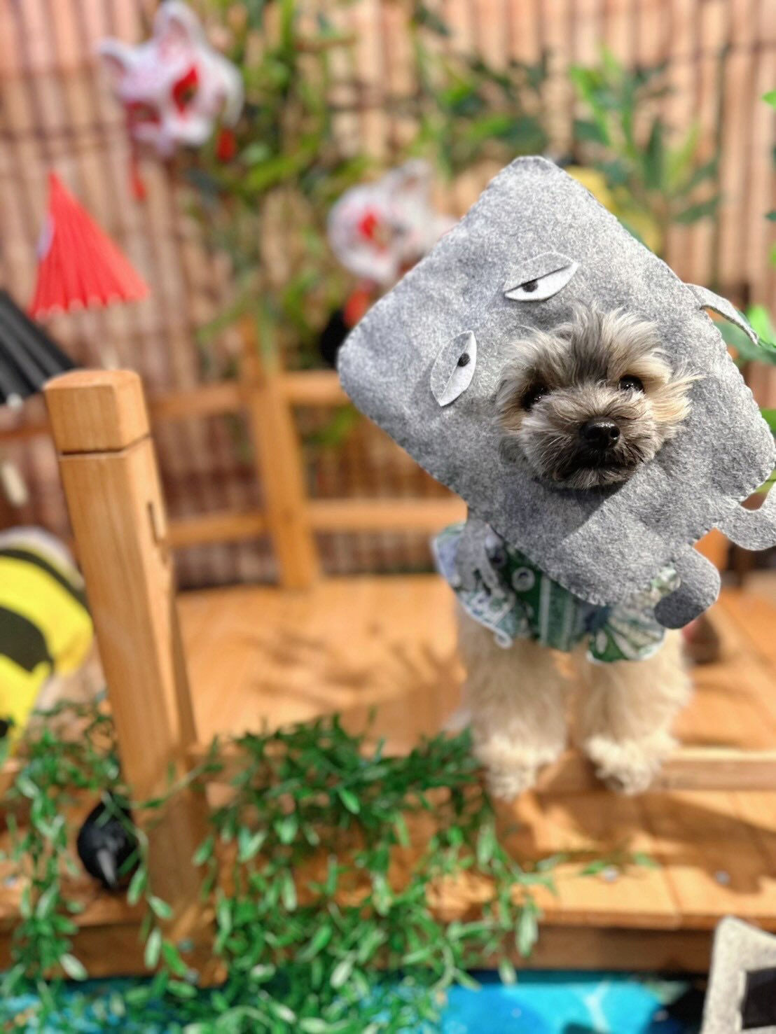 BIBICHE妖怪祭りラストになります😆