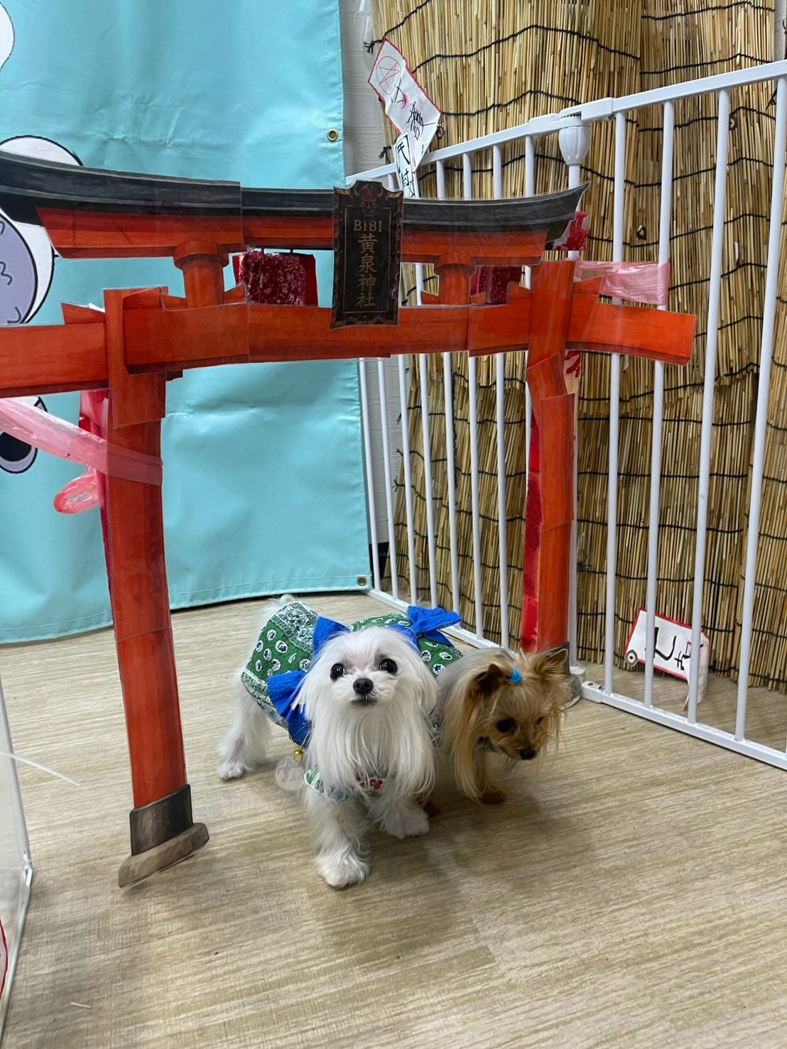 BIBICHE妖怪祭りラストになります😆