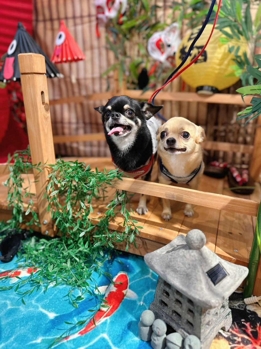 BIBICHE妖怪祭りラストになります😆