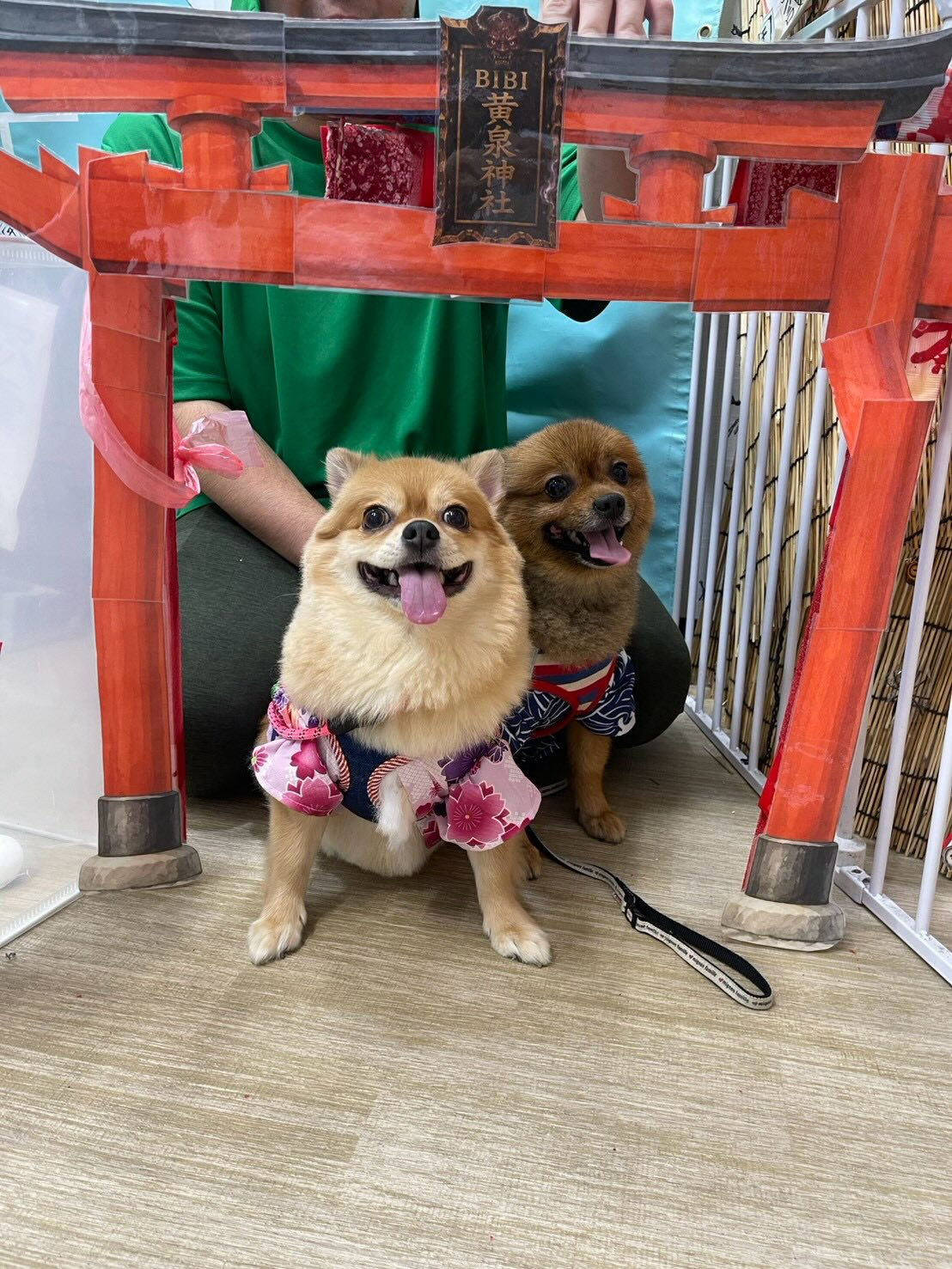 BIBICHE妖怪祭りラストになります😆
