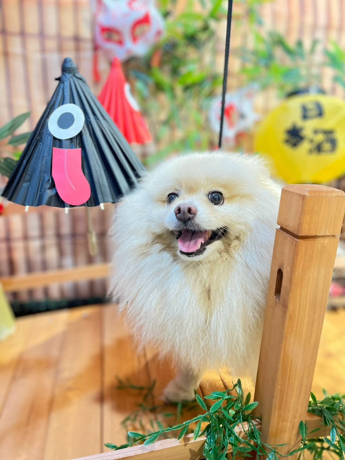 BIBICHE妖怪祭りラストになります😆