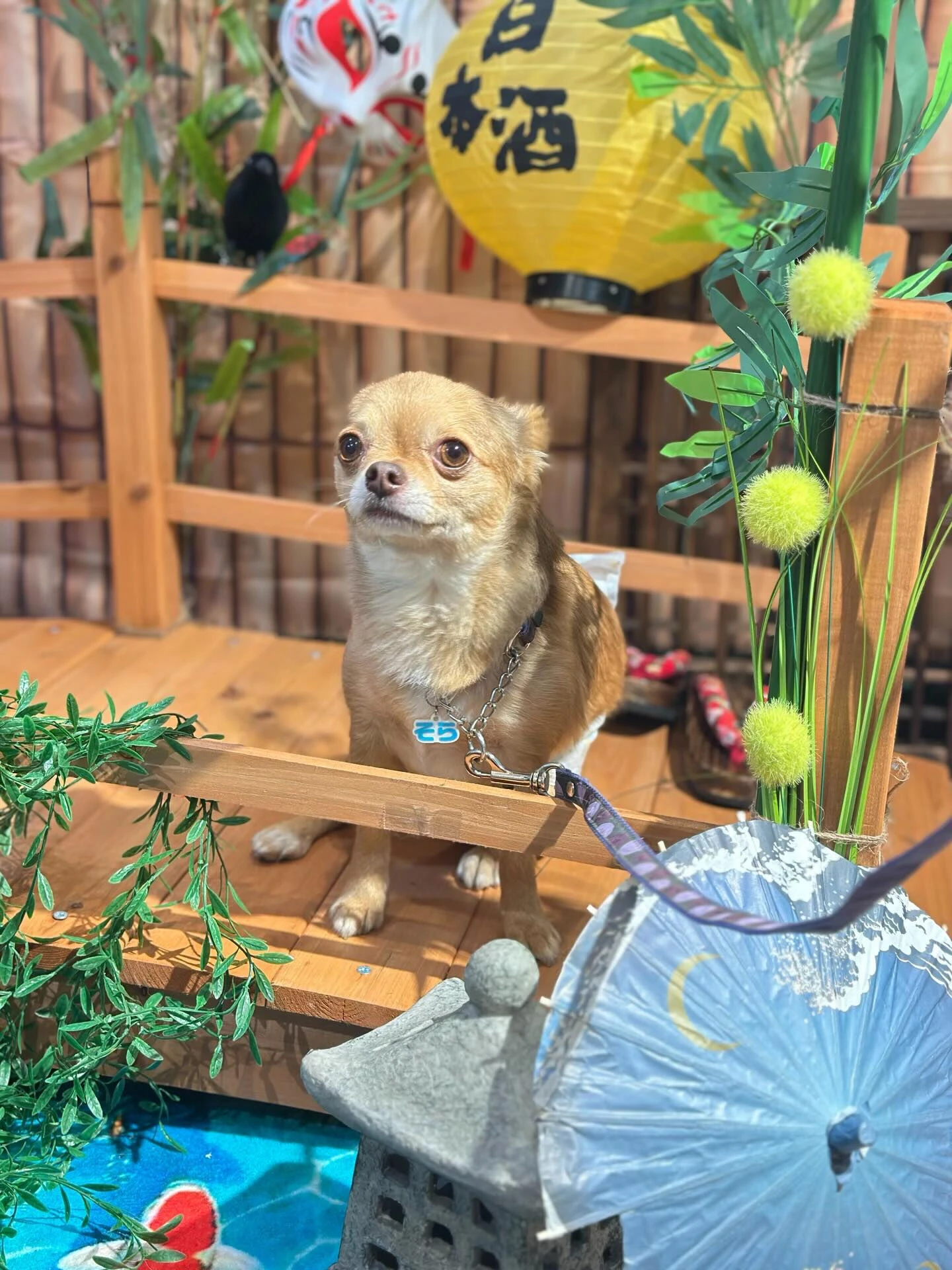 ブログ