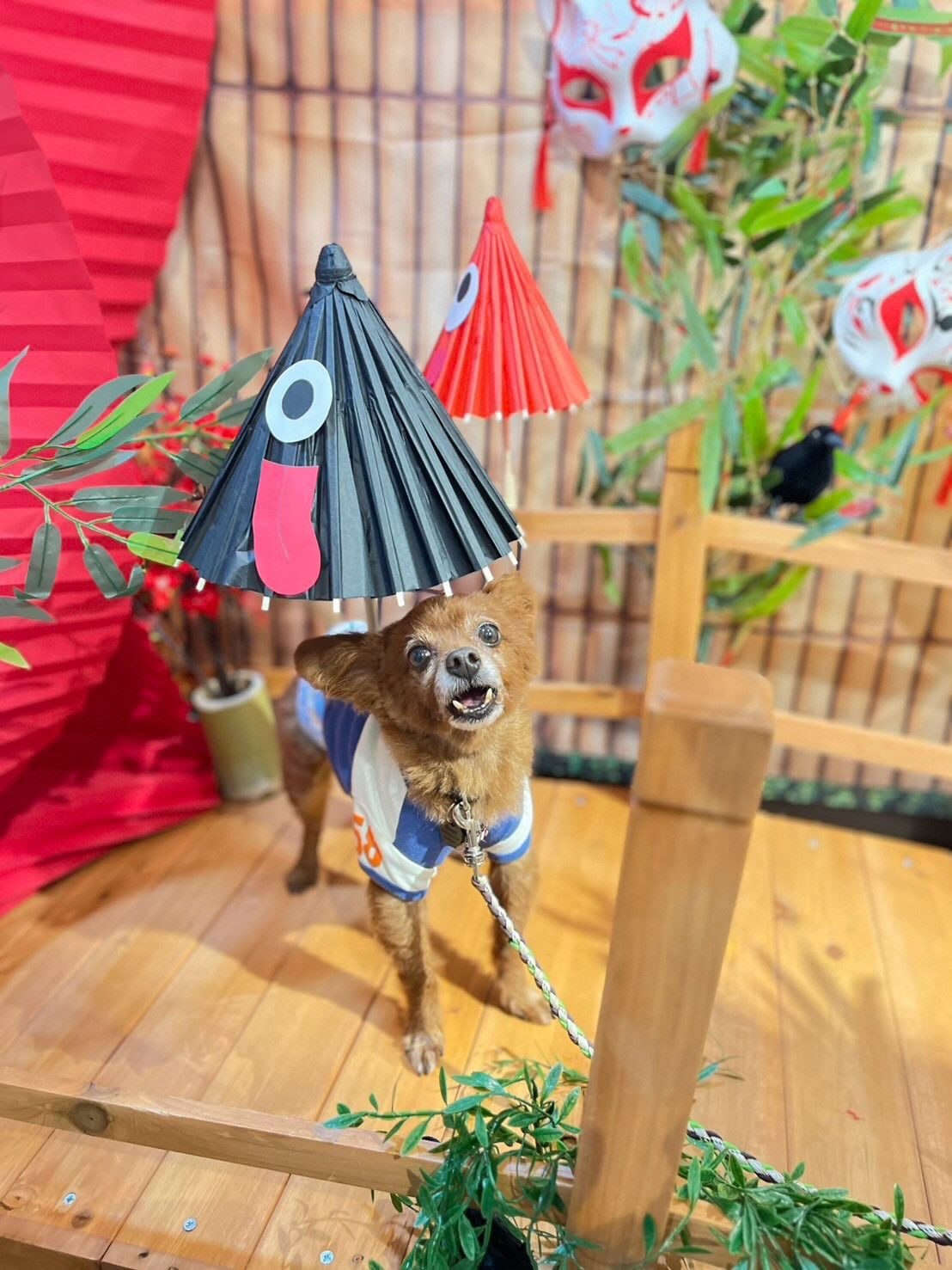 BIBICHE妖怪祭りラストになります😆